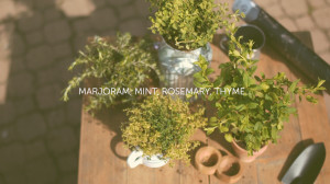make your herb corner