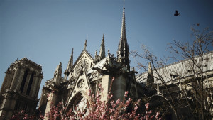 elopement wedding video paris