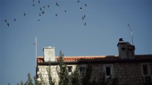 croatia wedding videographer