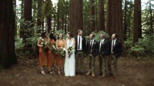 wedding videographer new zealand
